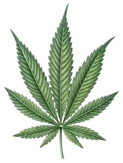 Imagen PNG para descargar